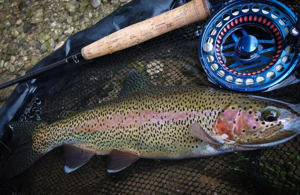 Krka River Lodge Znojile pri Krki Eksteriør bilde