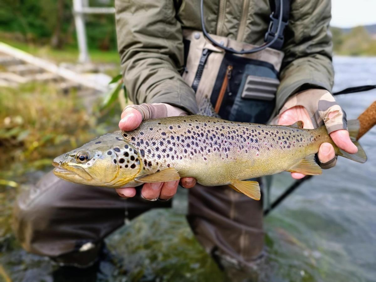 Krka River Lodge Znojile pri Krki Eksteriør bilde