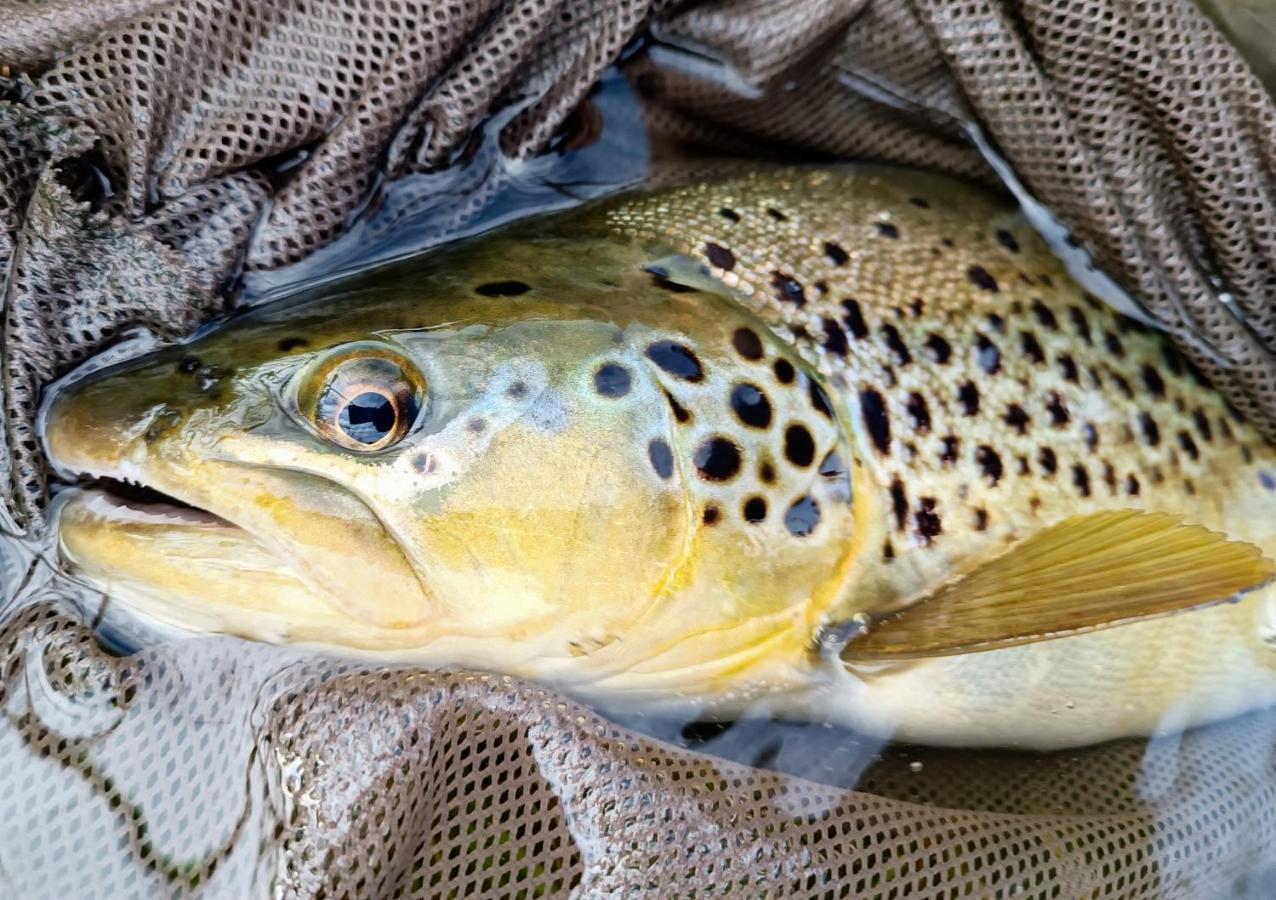 Krka River Lodge Znojile pri Krki Eksteriør bilde